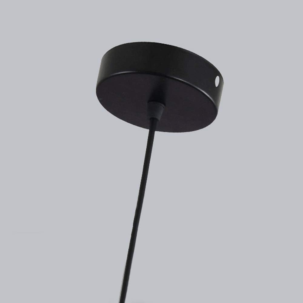 LED Pendant Lamp LED Modern Chandelier Lamp Industrial Pendant Light Metal Wrought Iron Single Head Black Cord Light Fixture,Hallway