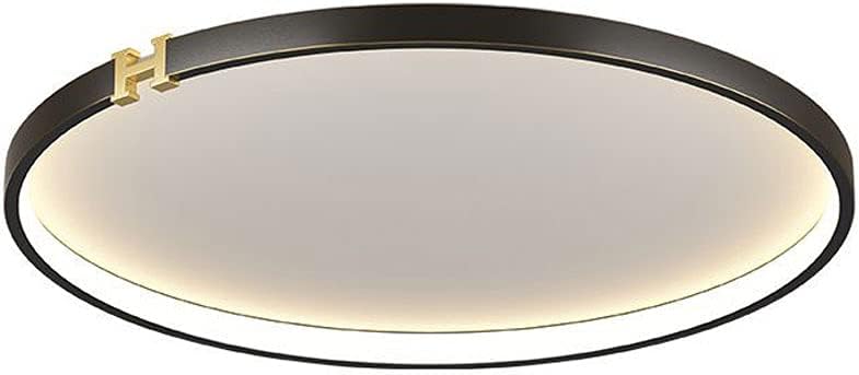 Nordic Black Wrought Iron Round Ceiling Light,LED Flush Mount Ceiling Light Fixture,Three-Color Dimming Ceiling Light,Bedroom Corridor Decorative Lighting