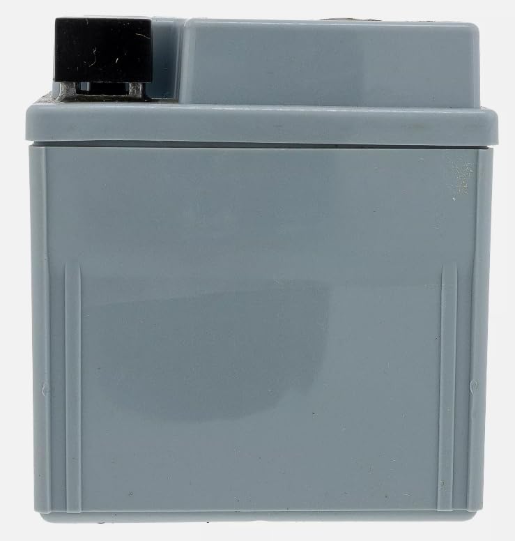 725P17136 Battery AGM 7AHR CC 30 H Hydro Mini Rider, Replacement for CUB CADET OEM