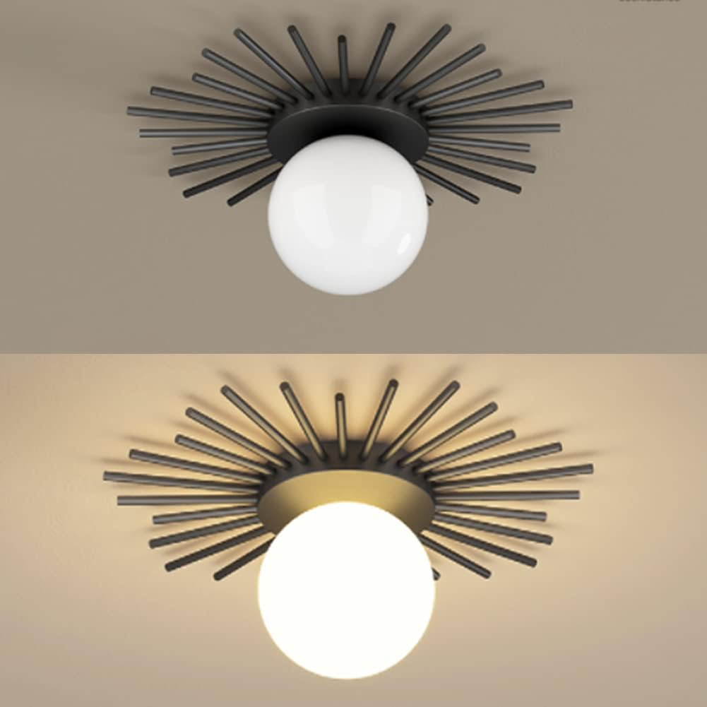 Nordic Creative Ceiling Lights Modern Bedroom Flush Mount Lighting Fixture LED G9 Acrylic Lampshade Sun Flower Gold Wrought Iron Chandelier For Living Room Entrance Hallway Kitchen (Black,35CM)