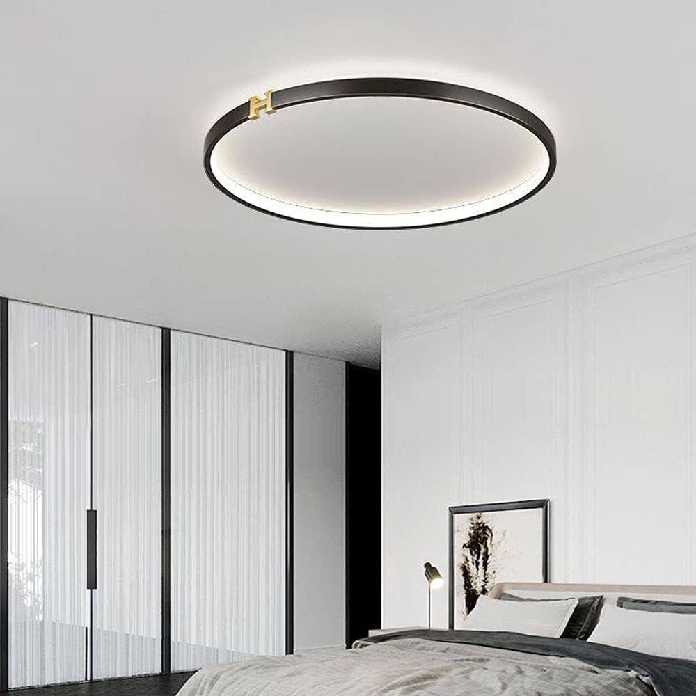 Nordic Black Wrought Iron Round Ceiling Light,LED Flush Mount Ceiling Light Fixture,Three-Color Dimming Ceiling Light,Bedroom Corridor Decorative Lighting