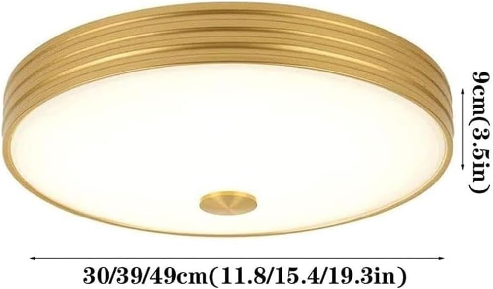 Retro Wrought Iron Flush Mount Ceiling Light Ultra Thin Round Fixture Decorative Lighting for Kids Room Nursery Bedroom Living Room Kitchen Home Use(Black,30 * 9cm)