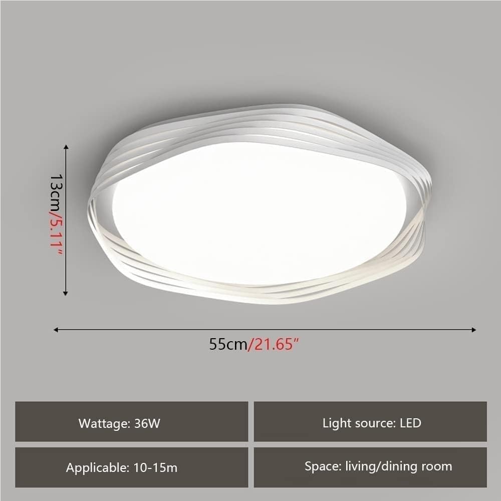 Modern Flush Mount Ceiling Light Fixtures Irregular White Wrought Iron Ceiling Lights Acrylic Shade Ceiling Lamp for Bedroom Laundry Room Bathroom Living Room