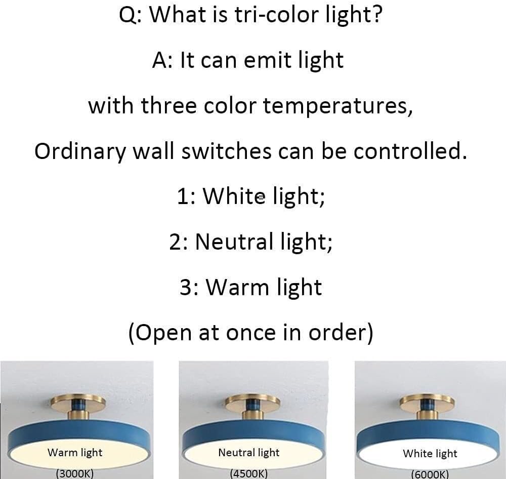 Semi Flush Mount Ceiling Light Modern Wrought Iron Ceiling Light Fixture Macaron Round LED Ceiling Lamp for Living Room Bedroom Dining Room Kitchen Study Room Corridor Chandelier(White,30cm)