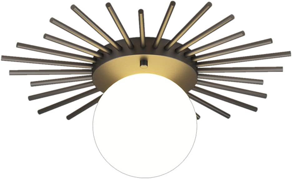 Nordic Creative Ceiling Lights Modern Bedroom Flush Mount Lighting Fixture LED G9 Acrylic Lampshade Sun Flower Gold Wrought Iron Chandelier For Living Room Entrance Hallway Kitchen (Black,35CM)