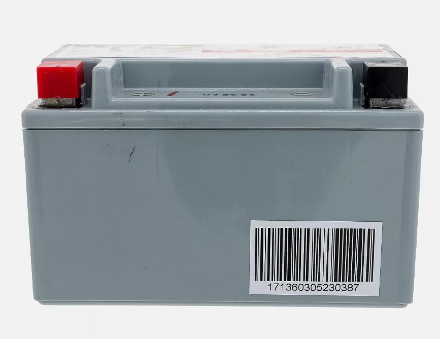 725P17136 Battery AGM 7AHR CC 30 H Hydro Mini Rider, Replacement for CUB CADET OEM