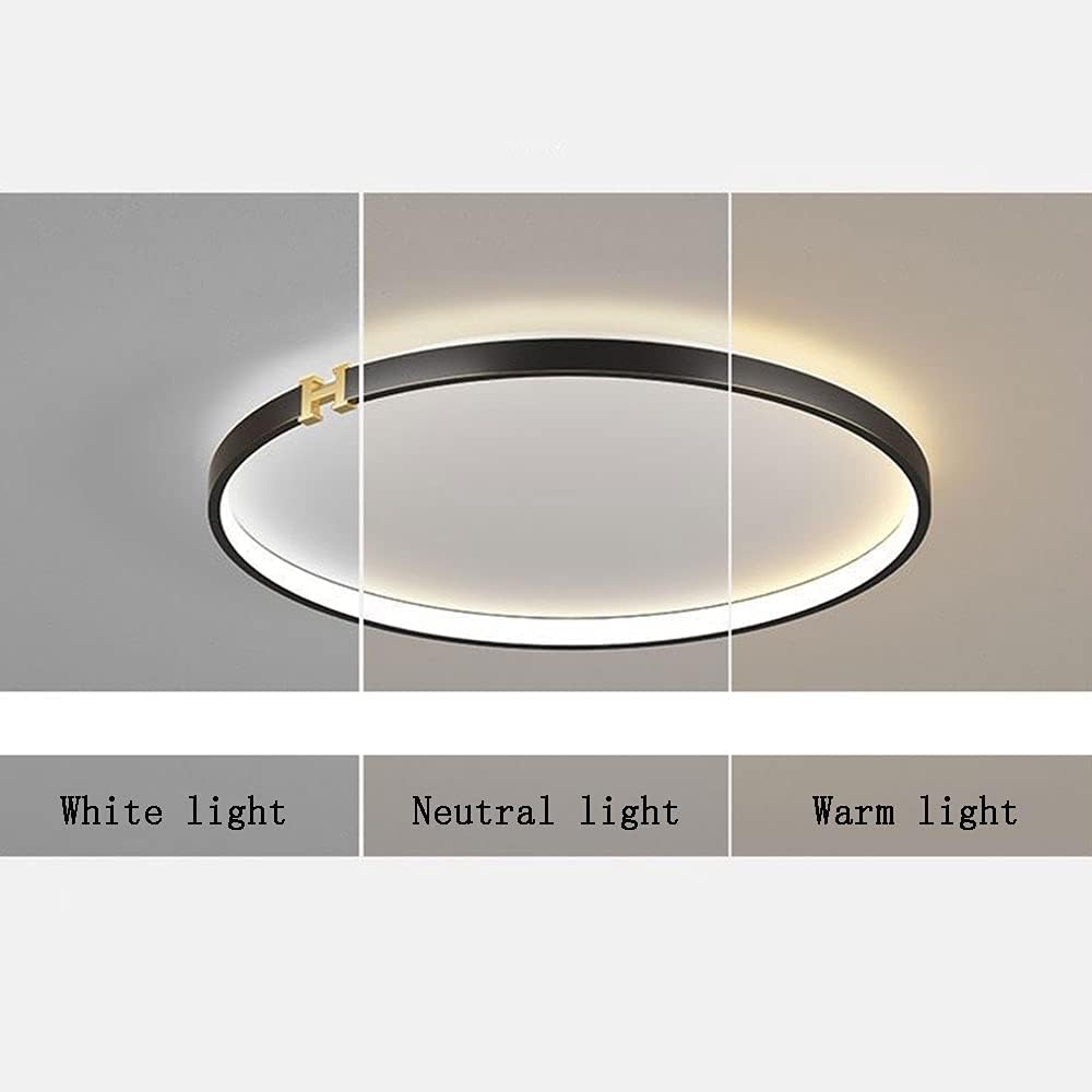Nordic Black Wrought Iron Round Ceiling Light,LED Flush Mount Ceiling Light Fixture,Three-Color Dimming Ceiling Light,Bedroom Corridor Decorative Lighting