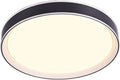 Modern Simple LED Ceiling Light, Dimmable Wrought Iron Ceiling Lamp for Bedroom Living Room Dining Room Lighting Fixtures(Black)