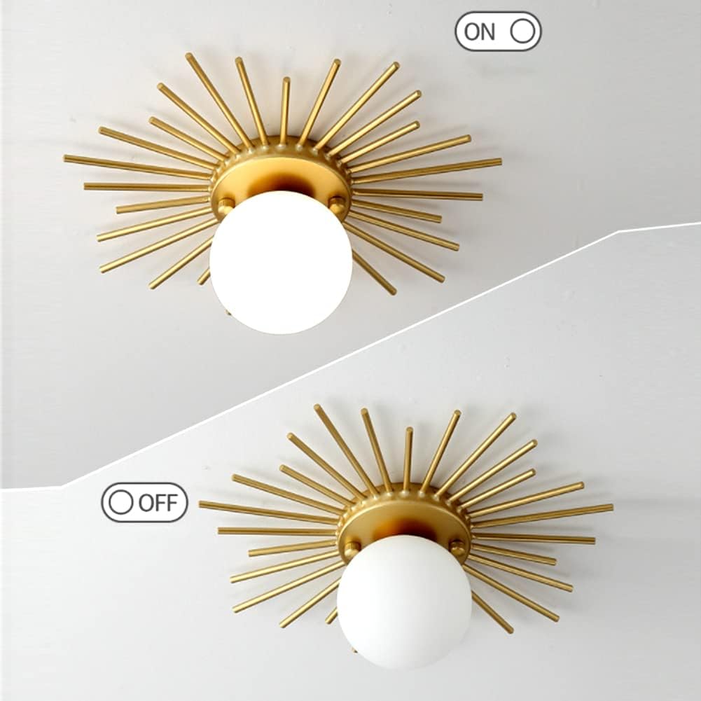 Nordic Round Ceiling Lights Creative Gold LED Flush Mount Lighting Fixture Sun Flower Shape Acrylic Lampshade Wrought Iron Chandelier for Living Room Bedroom Entrance Porch Kitchen (Gold,35CM)