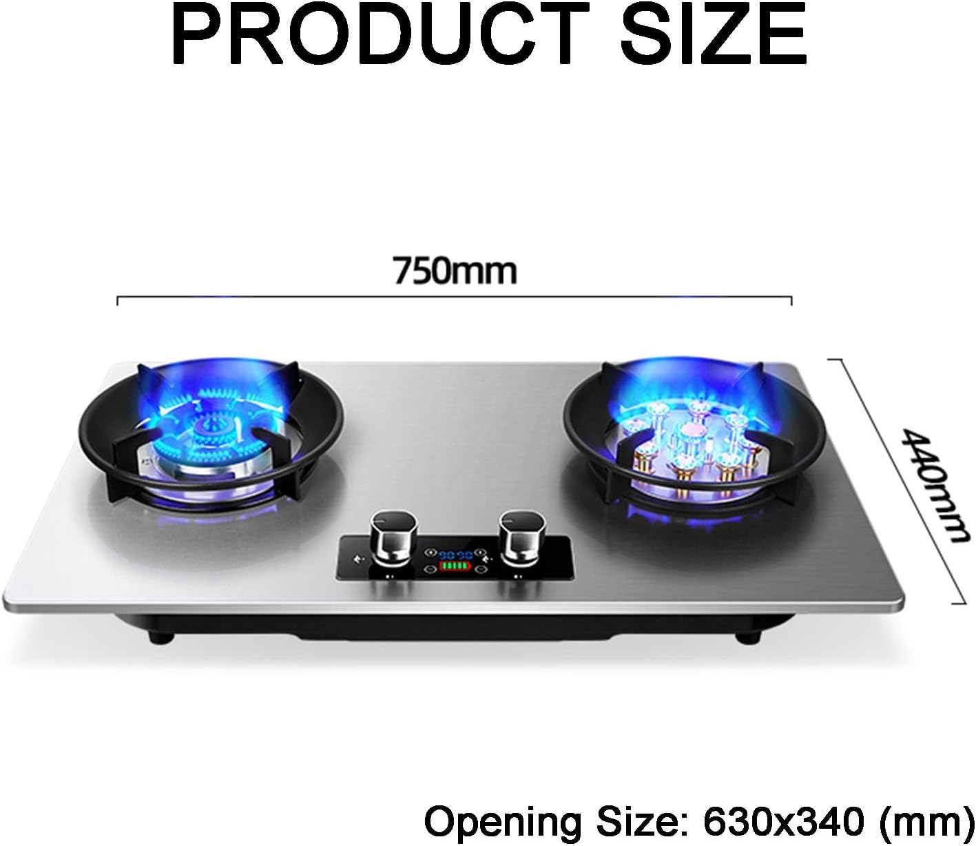 Gas Stove 2 Burners,NG/LPG Convertible Stove,Tabletop/Built-in Stainless Steel Cast Copper Cooktop,with Flameout Protection,4.8KW/5.2KW(LPG)