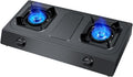 NIKKHO Gas Stove,2 Stove Eyes Burner,Suitable for Home and Commercial Use,NG/LPG Convertible,with Flame Out Protection,Suitable for Home and Outdoor (Color : LPG), 54768