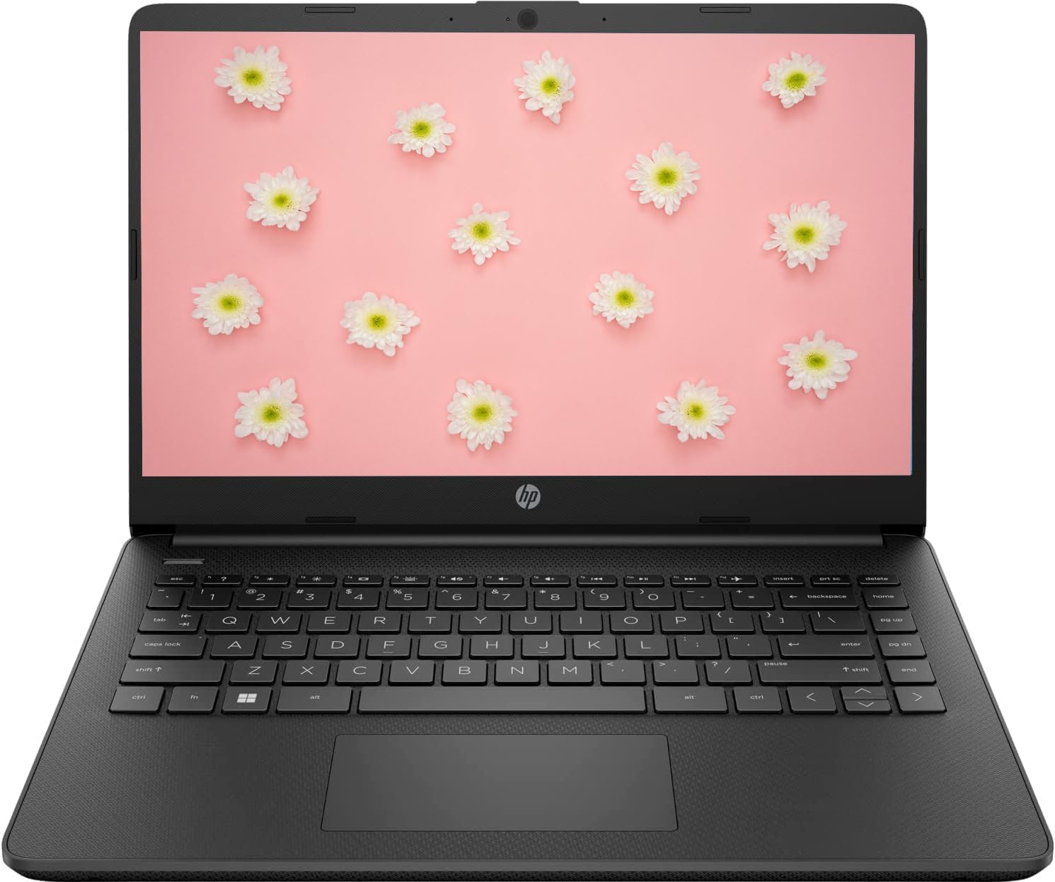 HP 2023 14' HD IPS Touchscreen Laptop, Intel Celeron Processor Up to 2.80GHz, 4GB SDRAM, 64GB SSD, Super-Fast WiFi, Windows 11 OS, Dale Black (Renewed)
