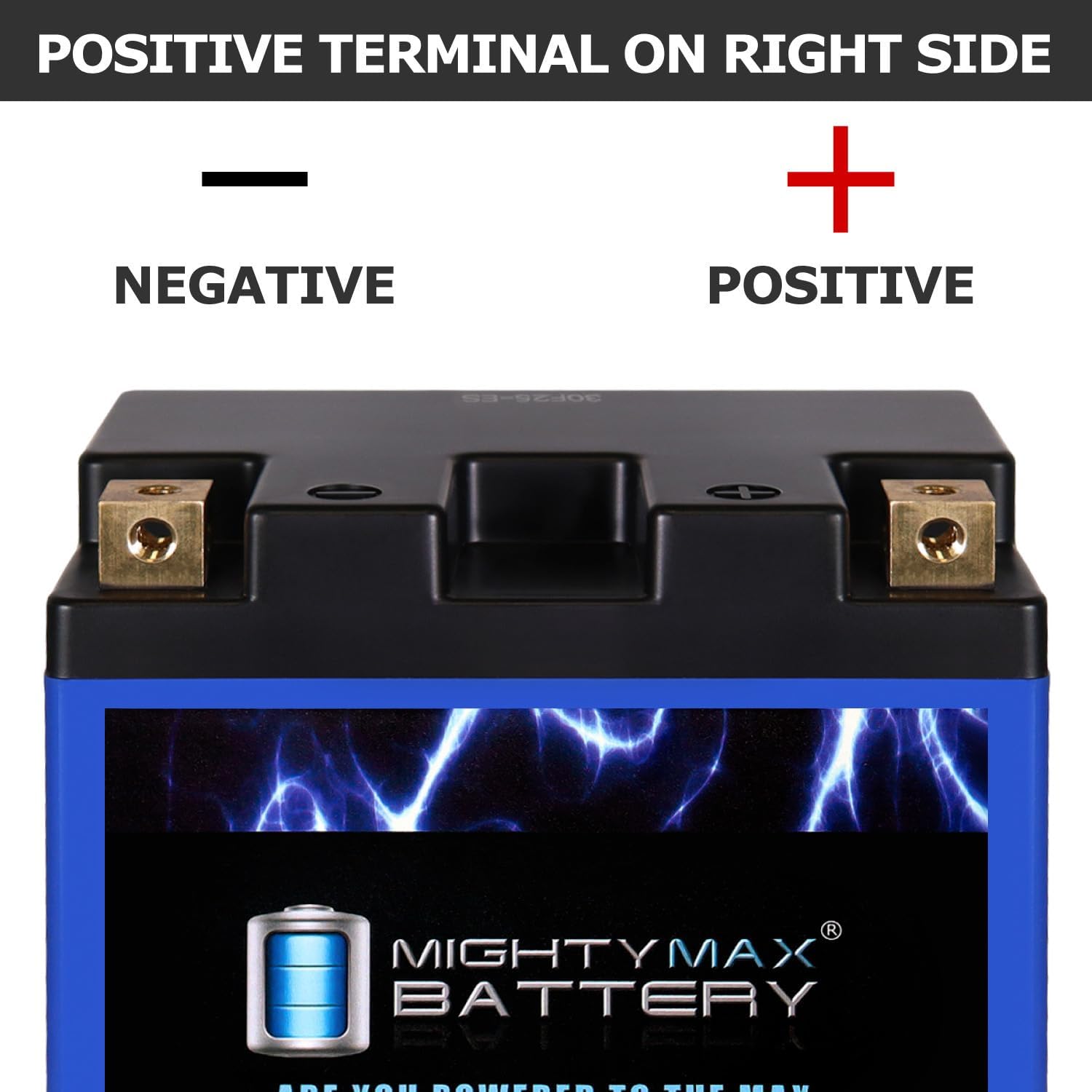 Mighty Max Battery YTX14AHL-BS LIFEPO4-12 Volt 12 AH, 400 CCA, Lithium Iron Phosphate (LiFePO4) Battery