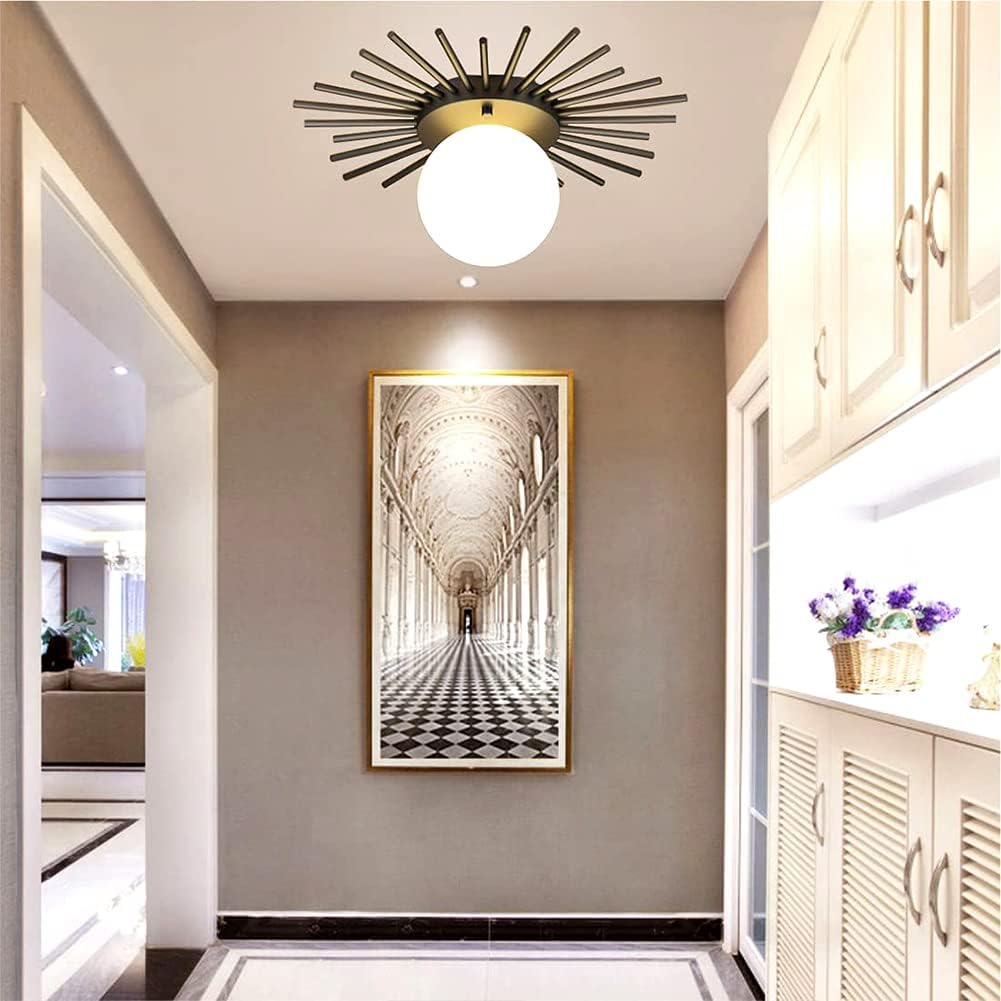 Nordic Creative Ceiling Lights Modern Bedroom Flush Mount Lighting Fixture LED G9 Acrylic Lampshade Sun Flower Gold Wrought Iron Chandelier For Living Room Entrance Hallway Kitchen (Black,35CM)