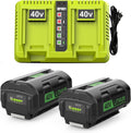 2Pack 6.5Ah Replacement for Ryobi 40V Battery and Charger Kit for 40 Volts Battery OP4026 OP4040 OP40401 OP40601 with Dual Port Ryobi 40V Charger OP401