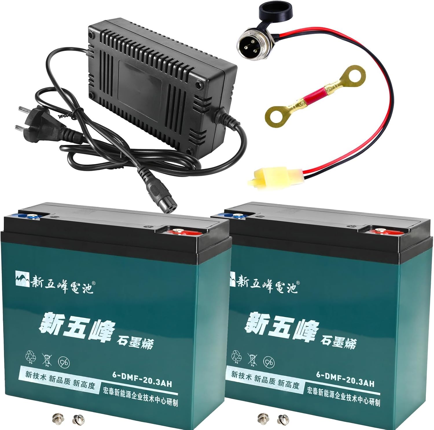 2-Pack 12V 20Ah AGM Sealed Lead Acid Batteries 6-DMF-20 6-DZM-20 6-DZF-20- Maintenance-Free for Golf Cart, ATV, UTV, Mobility Scooter, Dirt Bike, Lawn Mower with Charger