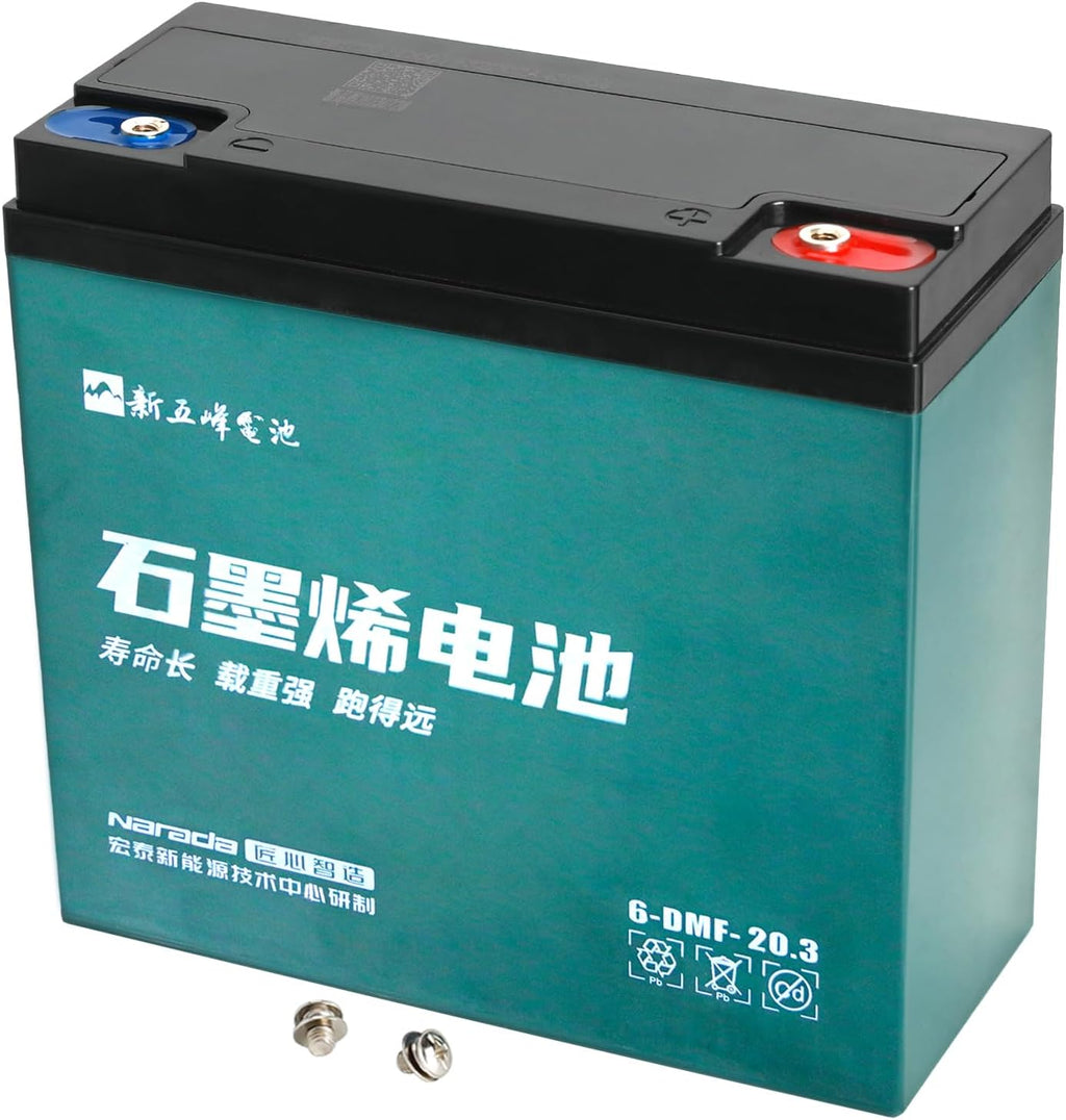 4pcs 12V 20Ah Battery 6-DMF-20 Maintenance Free Sealed AGM Motorcycle Battery with 48V Charging Port, Connect Cables, Storange Box for Electric Go Kart ATV UTV Quad Golf Cart Lawn Mower Snowmobile