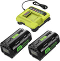 Powilling 2 Packs 6.0Ah Battery Compatible with Ryobi 40V Battery and Charger Kit for OP4026 OP40601 OP4050A OP4040 OP4030 OP4050 with OP401 40V Charger