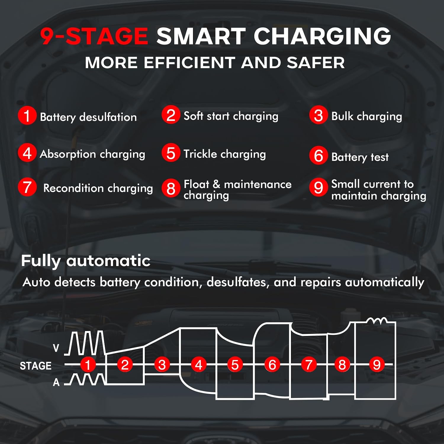 Haisito 40 Amp Car Battery Charger, 12V/24V Lithium LiFePO4 Battery Charger Automatic Battery Maintainer, Portable Smart Trickle Charger for Automotive Car Truck Motorcycle Lawn Mower Boat AGM Gel