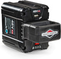Briggs & Stratton 48V MAX 2.0 Lithium-ion Battery for Snapper HD Cordless Electric Tools