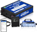 DC HOUSE 48V 50Ah Mini Golf Cart Battery with 18A Battery Charger, Bluetooth Mobile APP &Touch LCD Monitor, Low Temp Cut-Off, 2C-100A BMS, Peak Current 200A for Ryobi Mowers, Golf Carts