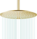 All Metal Rain Shower Head - Heavy Duty Stainless Steel, Easy Install, High Water Flow, Ultra-Thin Modern Design for Bathroom (F-Brushed Gold, 16)