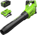 Greenworks 40V (130 MPH / 550 CFM ) Brushless Axial Leaf Blower, Ultra-Powerful for Wet Leaves, Heavy Debris, Gravel and Driveway Snow, Includes 4.0Ah Battery and Charger