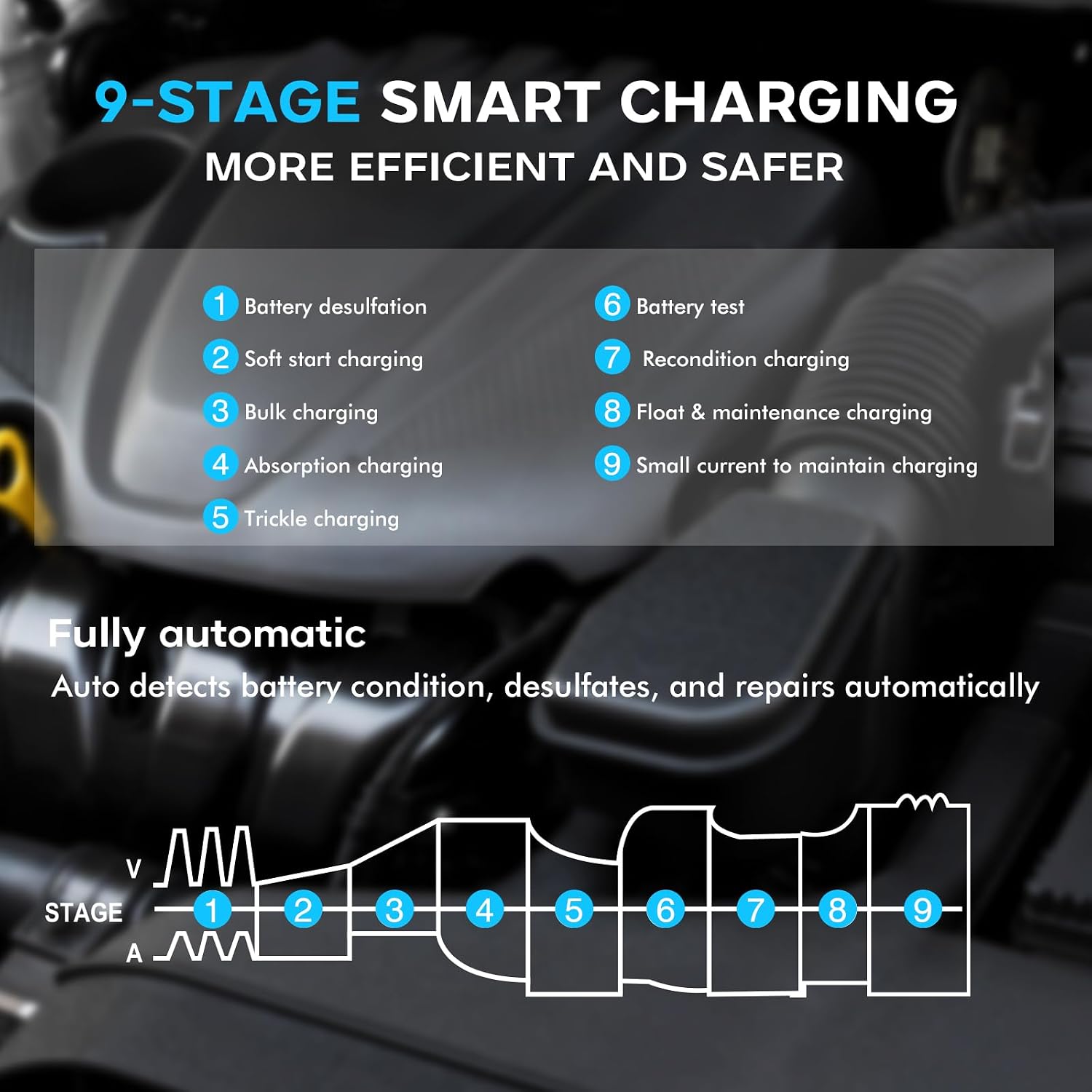 Haisito 30 Amp Car Battery Charger, 12V/24V Lithium LiFePO4 Battery Charger Automatic Battery Maintainer, Portable Smart Trickle Charger for Automotive Car Truck Motorcycle Lawn Mower Boat AGM Gel