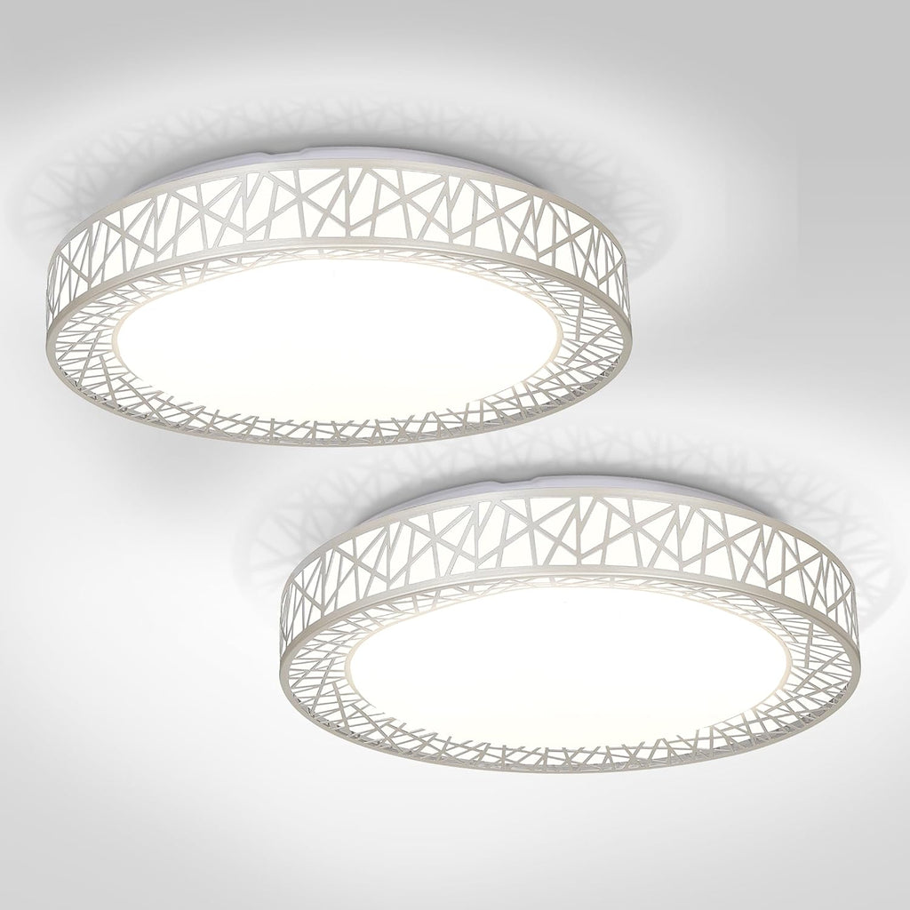 ASD 18 Inch LED Flush Mount Ceiling Light Fixture for Bedroom, 35W 1992LM 5CCT 2700K-5000K, Dimmable Lights, Dining, Living Room, Kitchen Lamps, Modern Home Lighting Fixtures, Nickel, ETL, 2 Pack