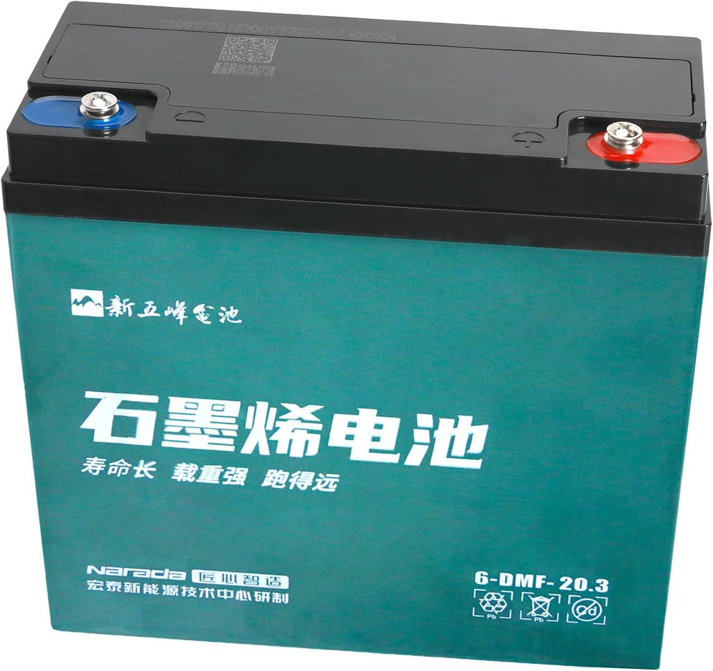 12V 20Ah AGM Sealed Lead Acid Batteries with 48V 2.5A Charging & Storage Box – Universal Powersports Battery Kit for ATV UTV Dirt Bike Go-Kart Golf Cart Tricycle Mini Bike Lawn Mower (2 Pack)
