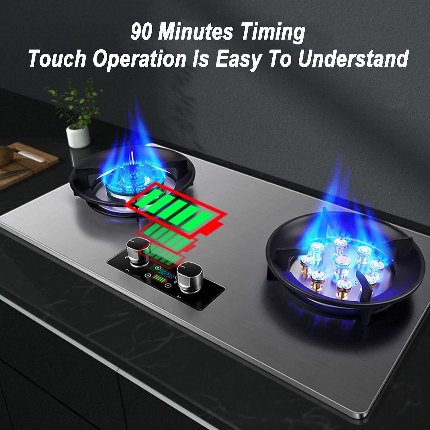 Gas Stove 2 Burners,NG/LPG Convertible Stove,Tabletop/Built-in Stainless Steel Cast Copper Cooktop,with Flameout Protection,4.8KW/5.2KW(LPG)