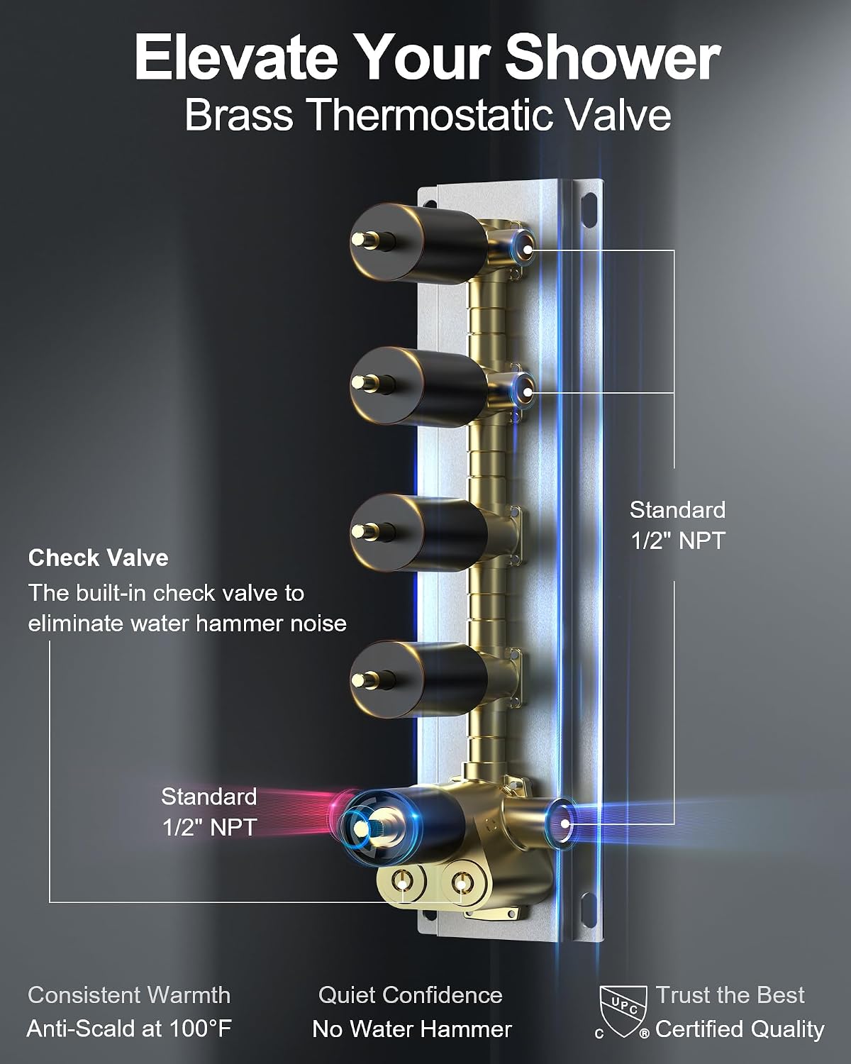 Thermostatic Shower System, 16' Ceiling Mount Rainfall shower Head with Double 6' Shower Head, Matte Black