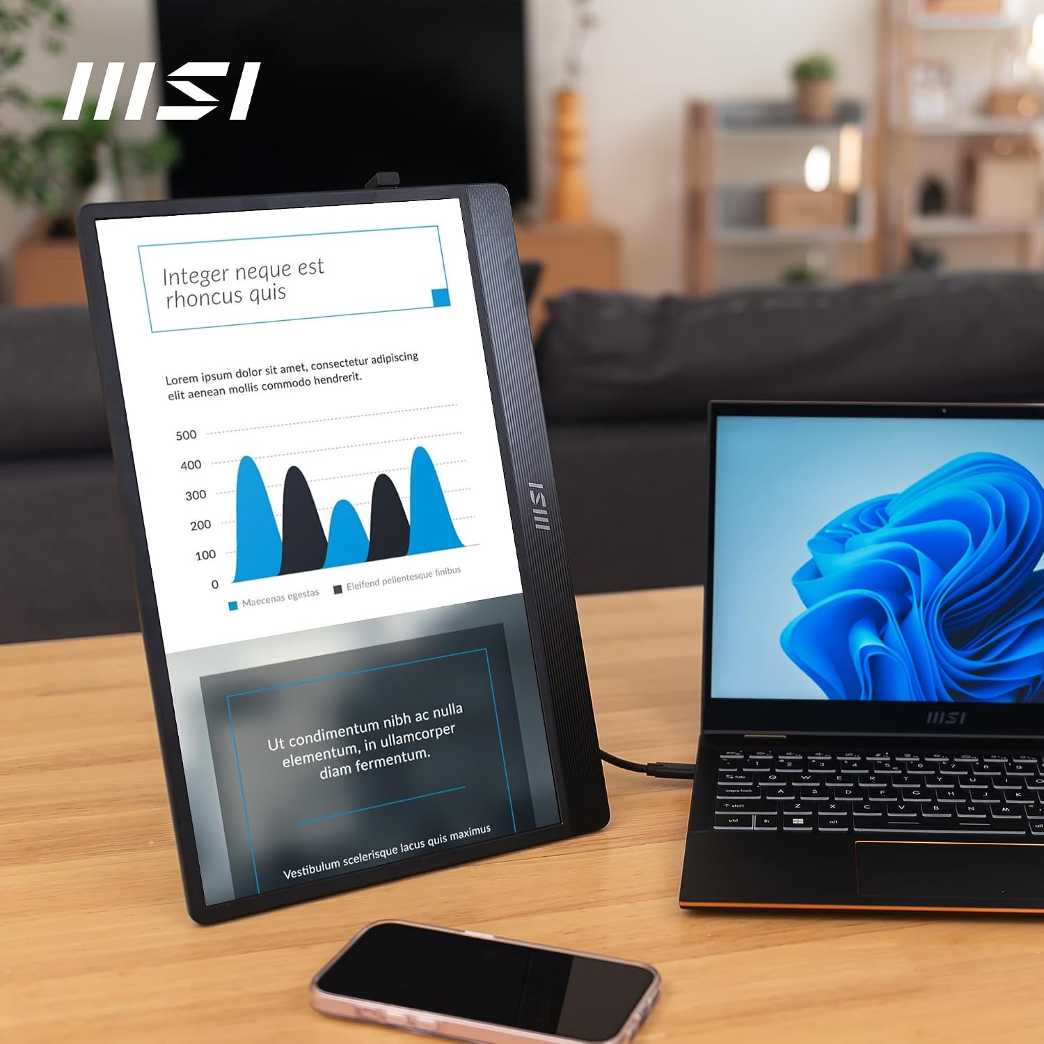 MSI PRO MP161 E2 Portable Monitor 15.6 Inches Full HD – IPS Panel 1920 x 1080, 60Hz, Practical (PC, Laptop, Mobile), Enhanced Speakers, Frame & Stand – Mini-HDMI 2.0b, 2 x USB Type-C