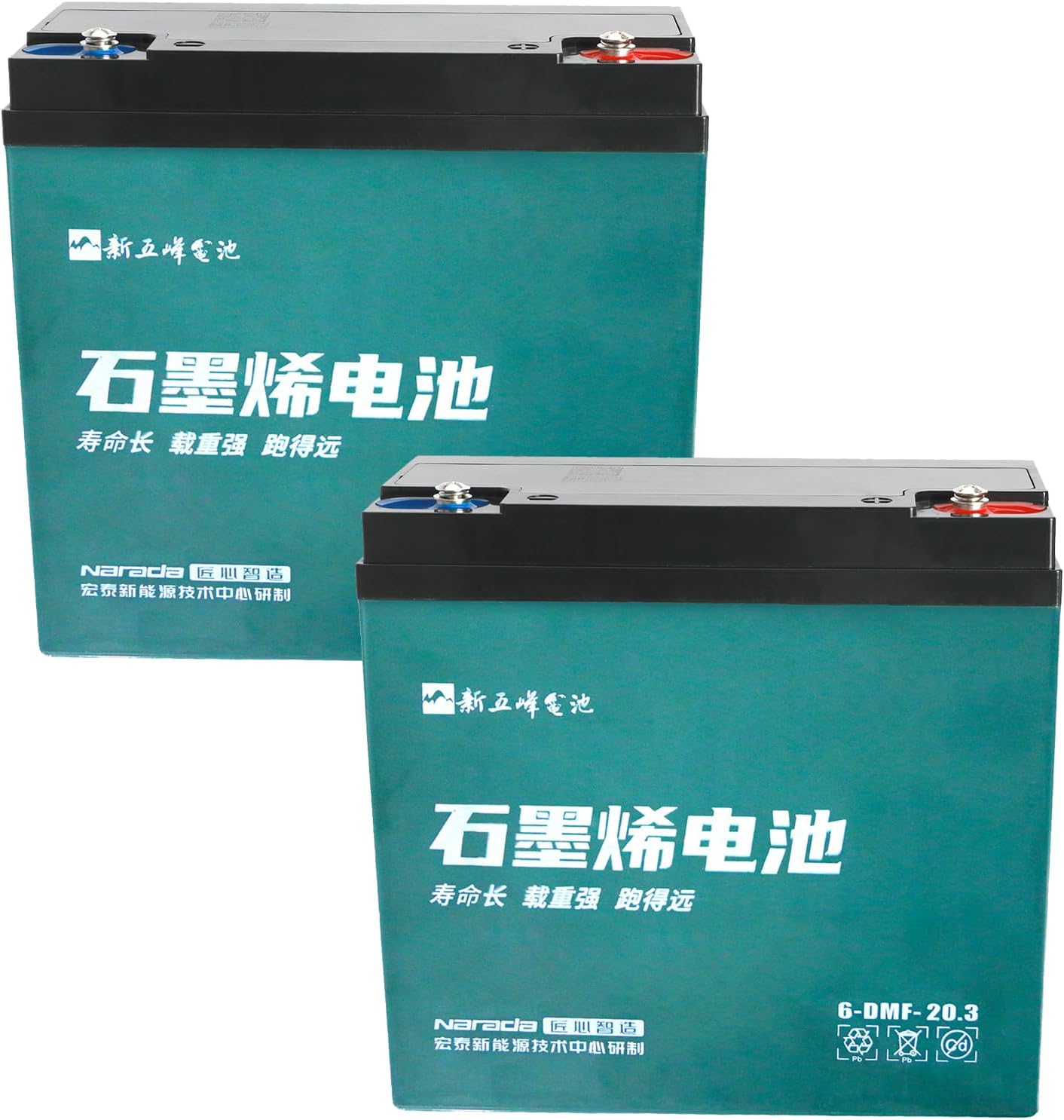 2 Pack Go Kart Batteries 12V 20Ah 6-DZM-20 Battery Sealed Lead Acid for Scooter Electric E Bike ATV UTV Drift Trike Golf Cart Quad Buggy Dune Moped Lawn Mower Four Wheeler Tricycle Offroad Motorcycle