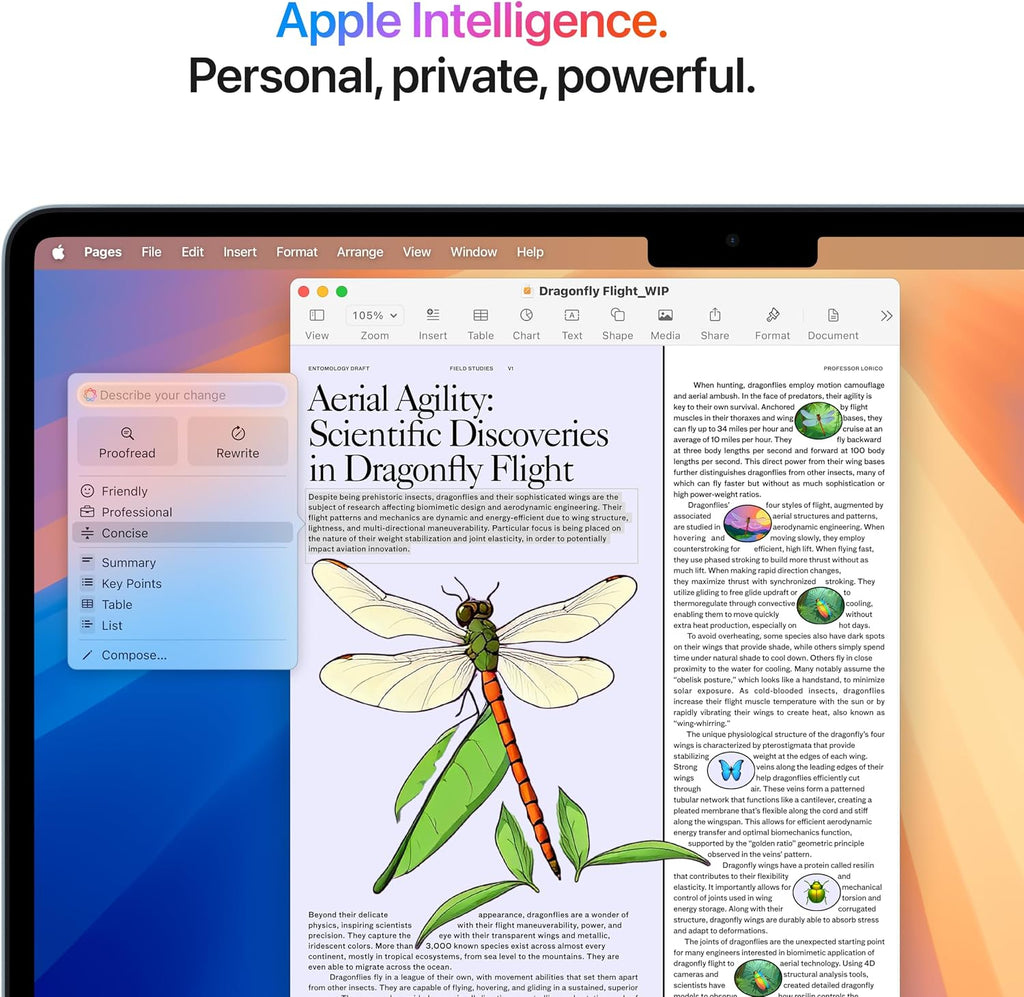 Apple 2025 MacBook Air with Apple M4 Chip, 13-inch, 16GB Unified Memory, 256GB SSD Storage, Sky Blue (Renewed)