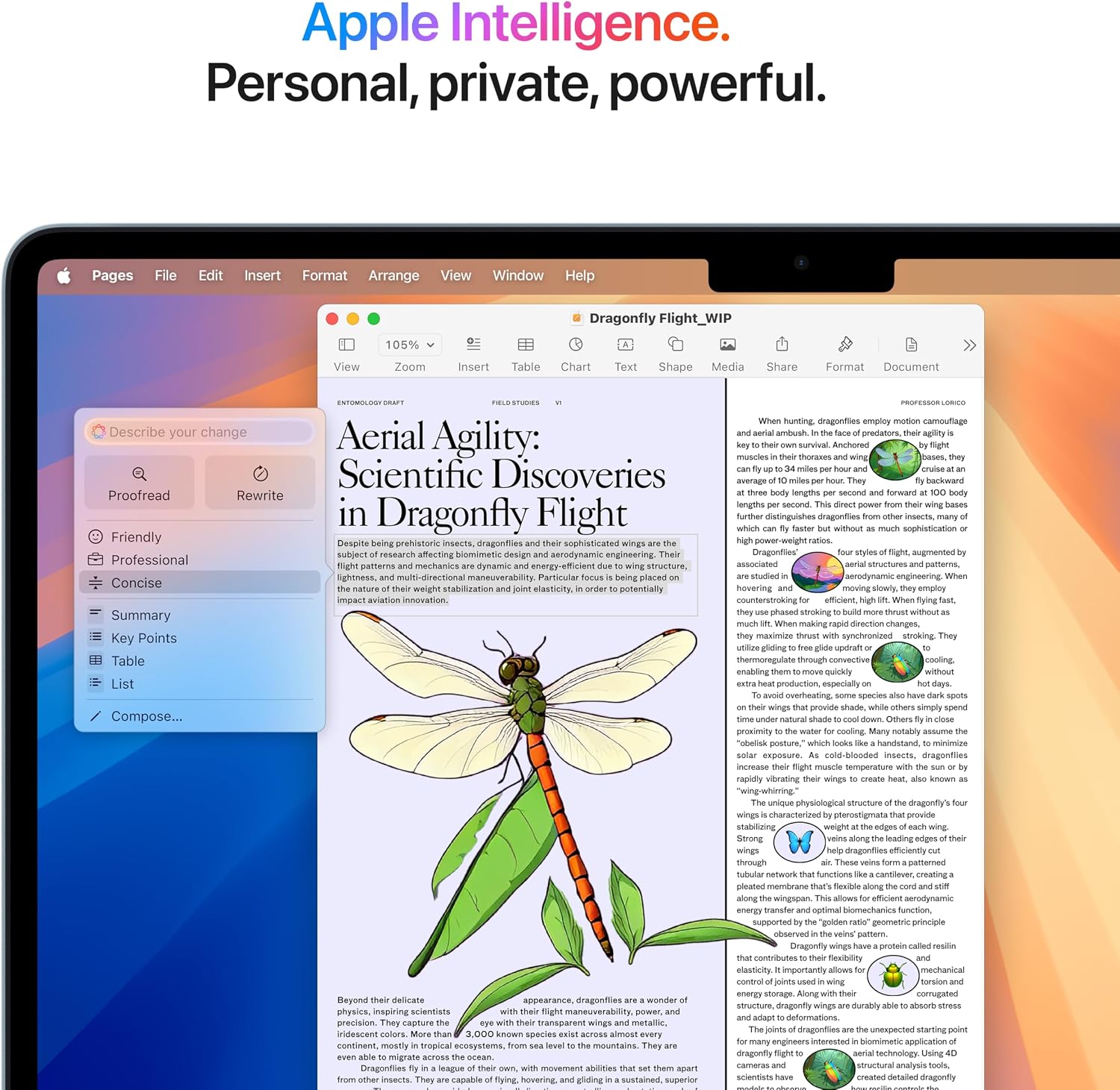 Apple 2025 MacBook Air with Apple M4 Chip, 13-inch, 16GB Unified Memory, 256GB SSD Storage, Sky Blue (Renewed)