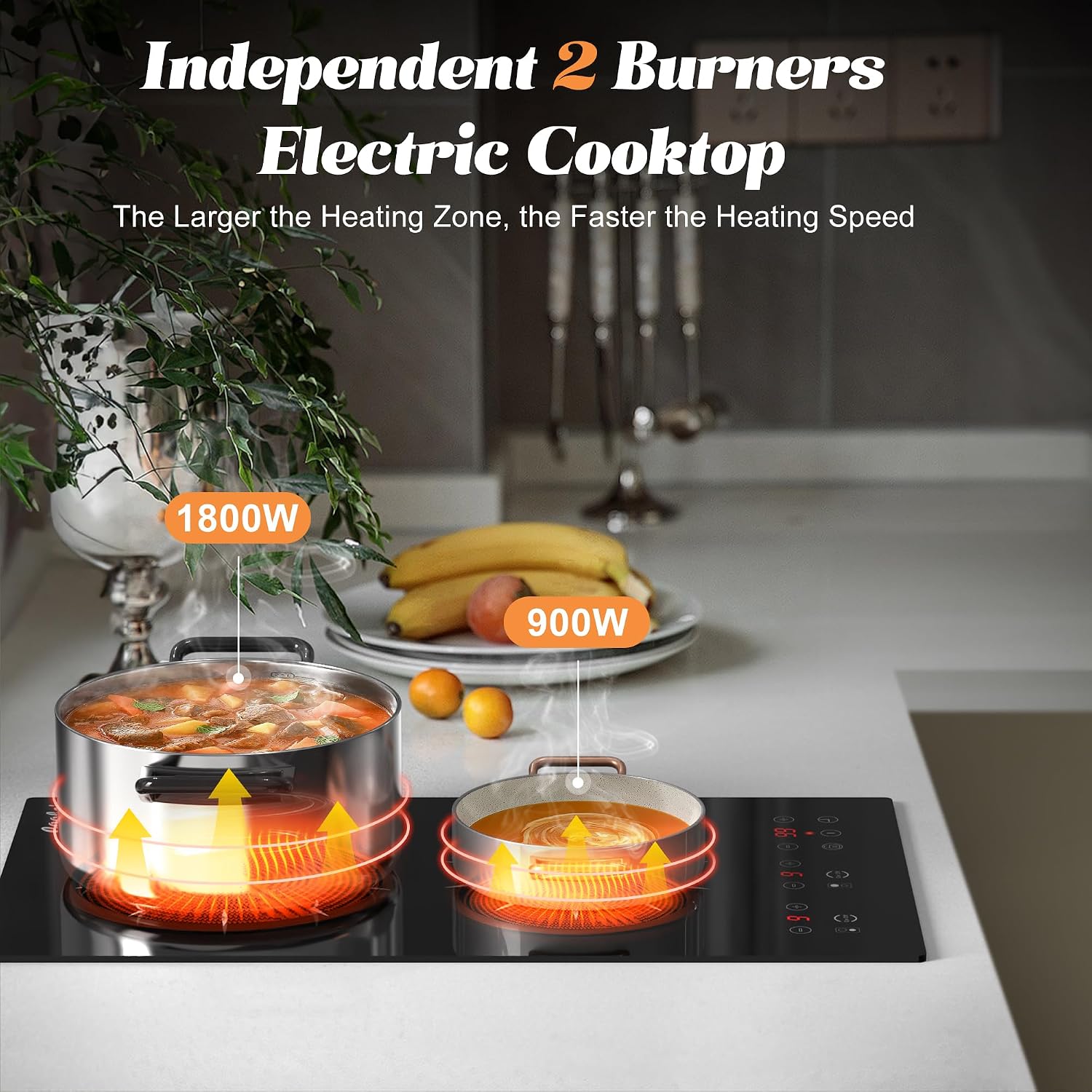2 Burner Electric Cooktop 24 Inch and 12 Inch