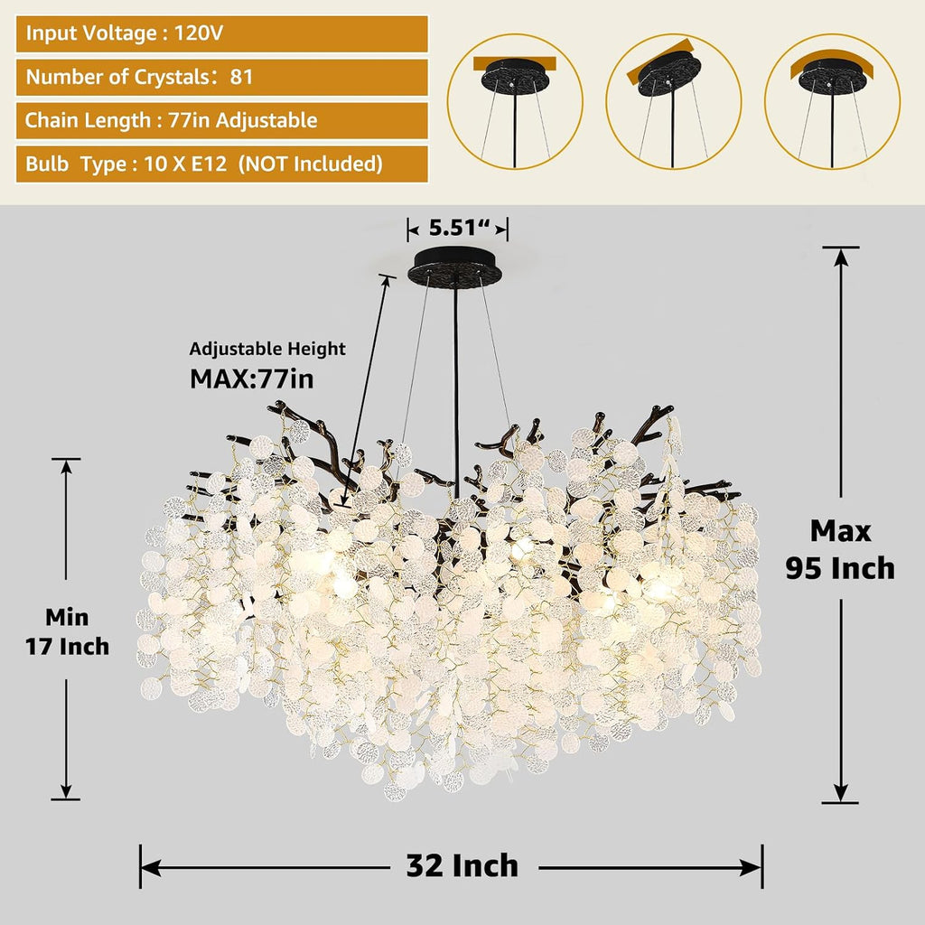 32 Inch Coastal Light Fixture, 10-Light Capiz Shell Chandelier, Modern Black Bedroom Chandeliers, Dining Room Foyer Lighting Fixtures, Boho Chandelier for Living Room Entryway