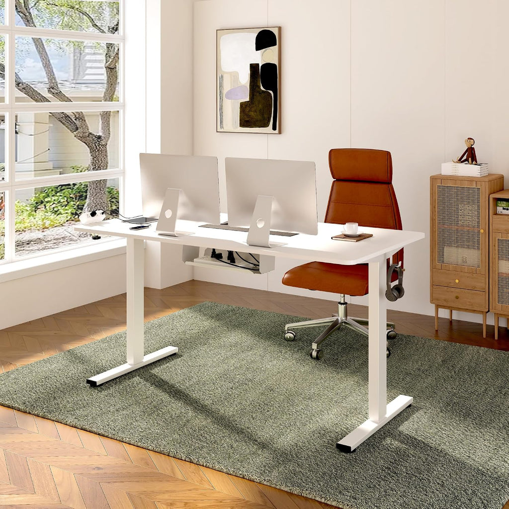 FLEXISPOT EN2 Whole-Piece Standing Desk with Clamp Power Strip, 48x24 Electric Stand Up Height Adjustable Desk with Cable Management (White Frame + 48' White Top)